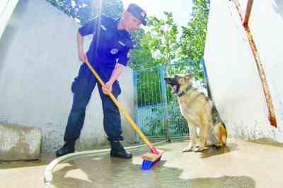 训犬员在为警犬打扫笼舍。